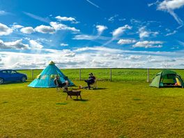 Visitor image of the pitches