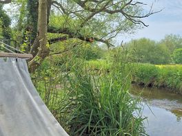 By the river in the hamock.