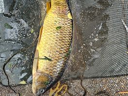 9lb 6 oz!
