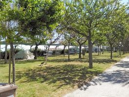 Pitches