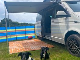 Peaceful and dog friendly!