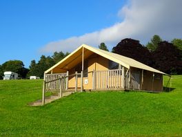 Safari tent