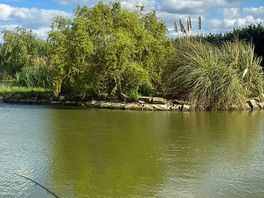 Lots of fish