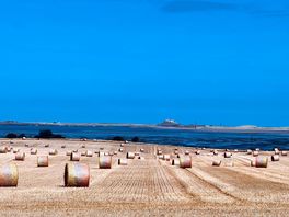 Lindisfarne in distance