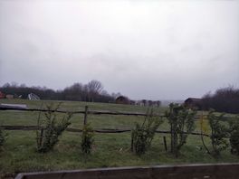 Rother valley march 2023