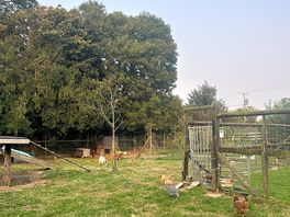 Farm photo