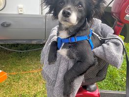 Loving camping