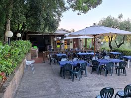 Gastro