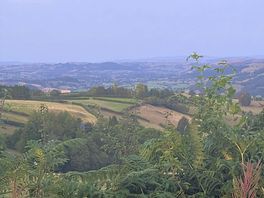 Early evening view