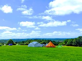 Grass pitches