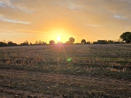 Sunrise...