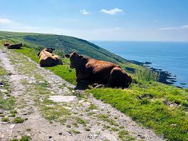 Coastal path