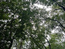 Above the plot