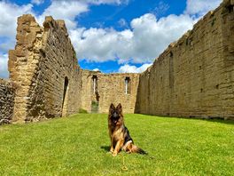 Abbotsbury 30 minute drive away.