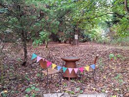 Around the site