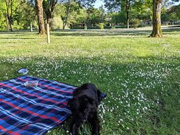 Bonnie enjoying the space after a 7 hour drive