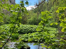 Gorgeous walk at cheedale stepping stones