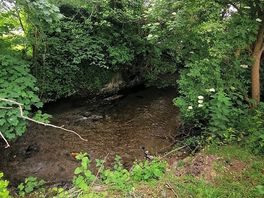 Beautiful river right next to camping spot