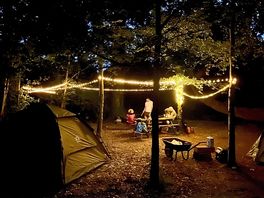 Great spot in the trees - fairy lights are a must!
