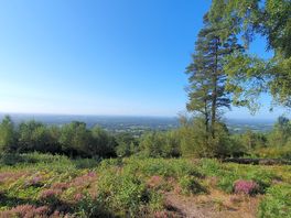 Leith hill