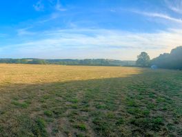 The view.