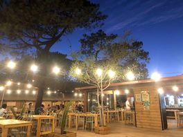 Campsite bar