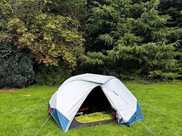 My tent, surrounded by lovely greenery