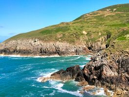 We saw seals, a snake! and a vole!