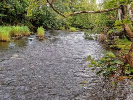 River that runs along park