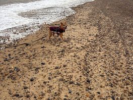 Beach very close by