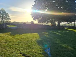 Morning at longfield farm.