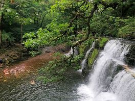Falls
