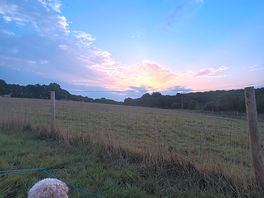 Morning sunrise