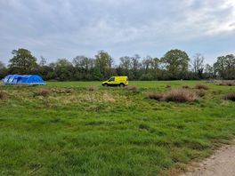 A photograph of a large, grassy field backed by trees. there is a blue tent and a yellow van.