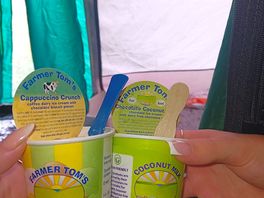 Devons ice cream from onsite shop