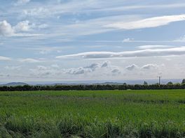 View from campervan pitch