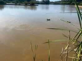 Main lake.