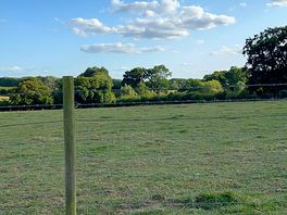 Pitch view
