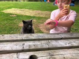 Farm cat was a huge hit