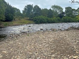 River fishing spot