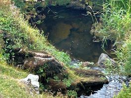 Stream