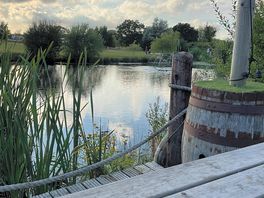 The pond