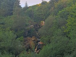Waterfall? overgrown