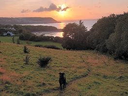 View from carreg y gwynt footpath.