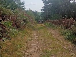 Hiking/ biking trail