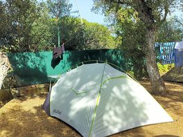 Piazzola tenda