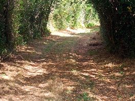 Ballade au alentour ressourçante