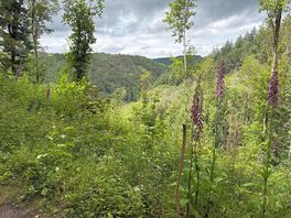Uitzicht van pad durect achter de camping