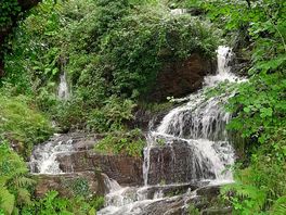 Waterfall on site