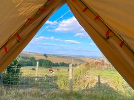 A room with a view